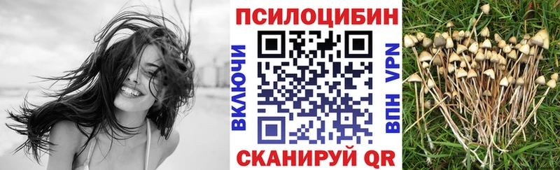 Галлюциногенные грибы GOLDEN TEACHER  Электросталь 